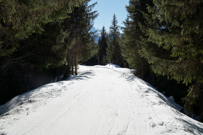 Schlittelpiste Foppa-Flims (oua_43225741_image)