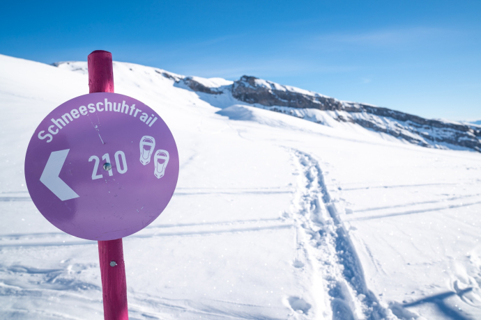 Schneeschuhtour Nr. 210 UNESCO-Welterbe Sardona Trail (oua_43228060_image)