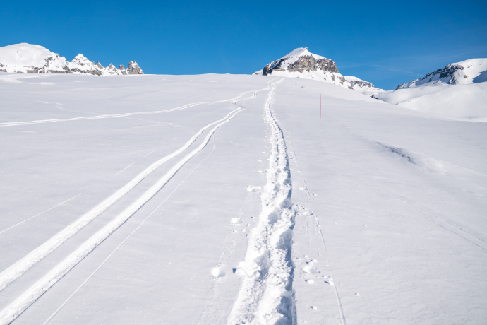 Schneeschuhtrail Nr. 545 Grauberg (oua_43228071_image)