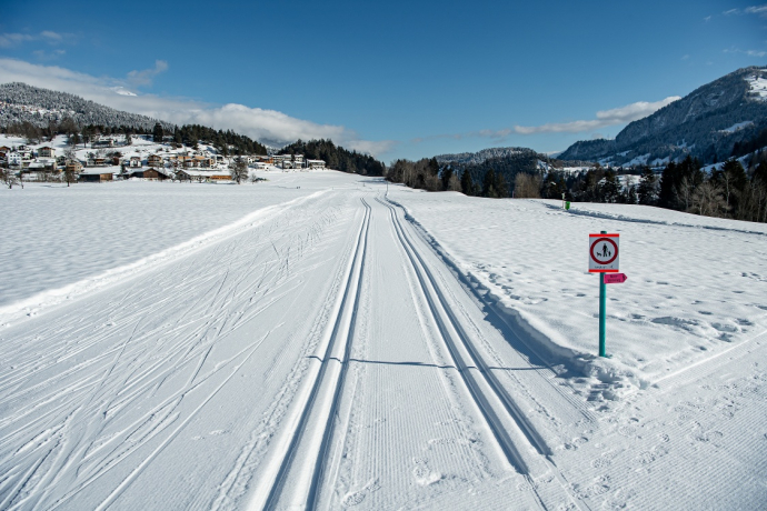 Cross-country ski trail Sagogn dog trail (oua_43244711_image)