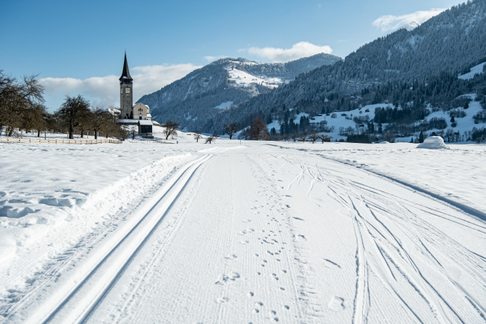 Piste de ski de fond Sagogn Prau / piste éclairée (oua_43246645_image)