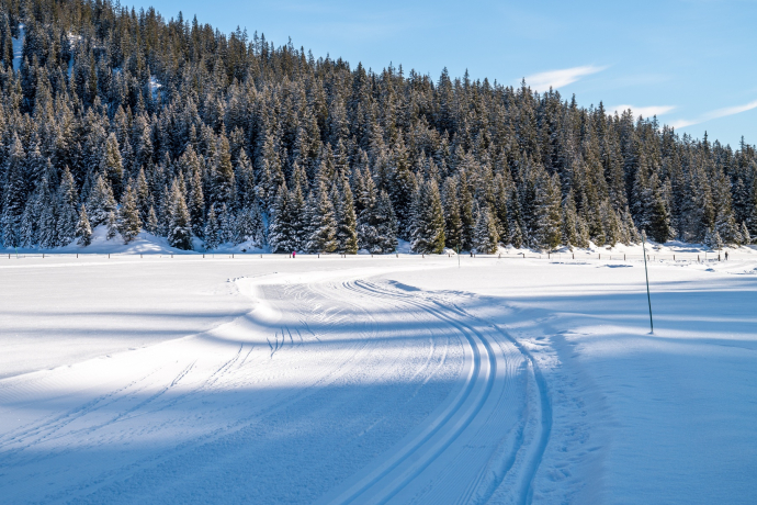 Langlaufloipe Plaun (oua_43247141_image)