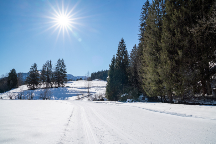 Langlaufloipe Trin Suraua (oua_43248328_image)