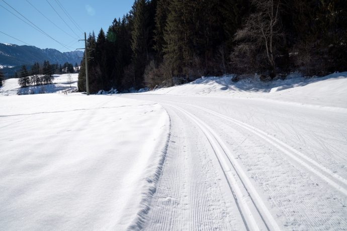 Langlaufloipe Trin Suraua (oua_43248330_image)