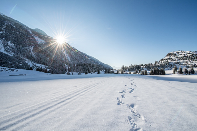 Langlaufloipe im Hochtal Bargis (oua_43248939_image)