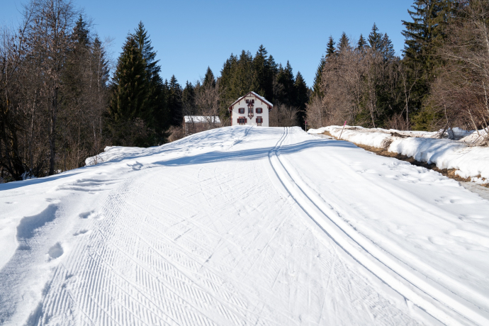 Langlaufloipe Trin Crestasee (oua_43249345_image)