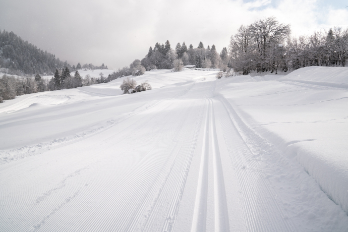 Flims Rens cross-country skiing trail (oua_43249589_image) Flims Rens cross-country skiing trail (oua_43249589_image)