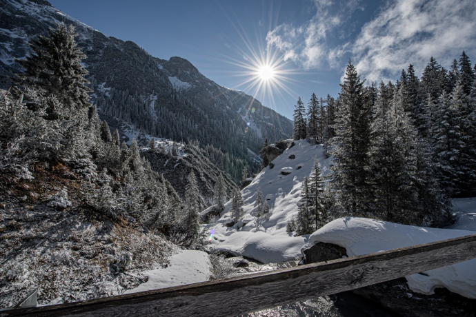 2 Bargis - Fidaz - Flims (oua_43313065_image)