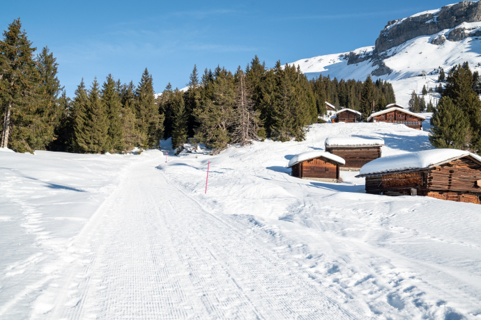 108: Foppa - Runcahöhe (oua_43313421_image)