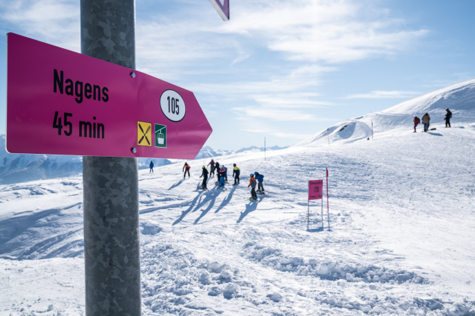 105 : Nagens Sura - Nagens (oua_43335487_image)