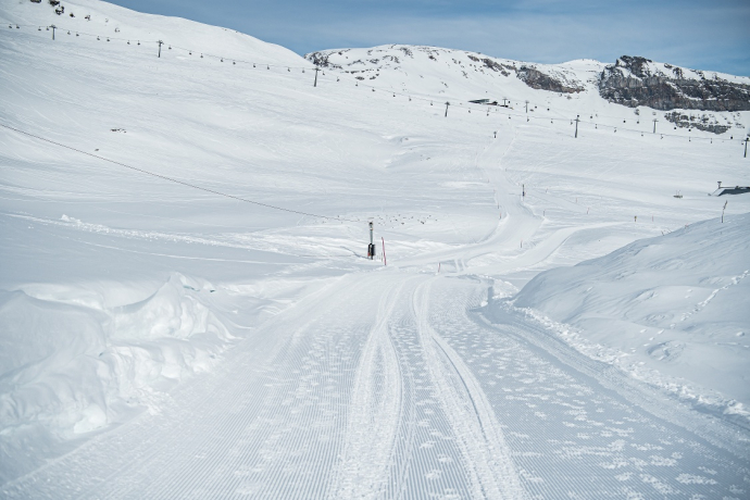 110: Scansinas - Alp Sogn Martin (oua_43335986_image)