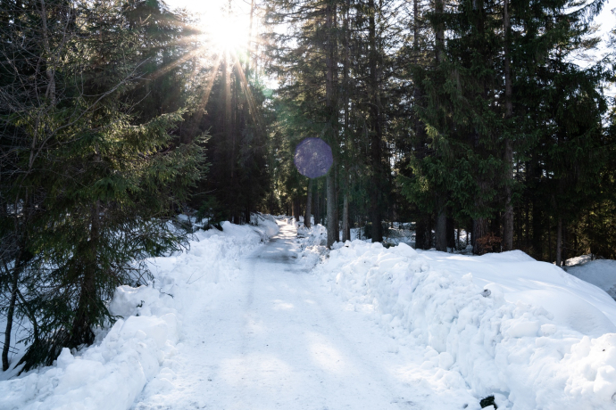 Trin - Trin Mulin (oua_43382066_image)