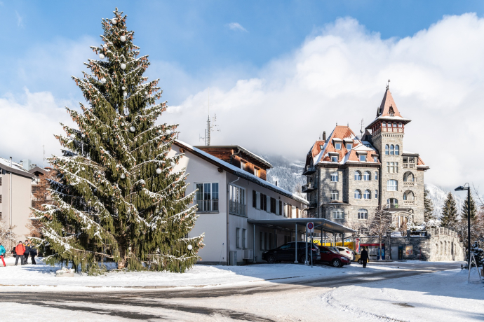 274 : parcours de la forêt de Flims (oua_43382930_image)