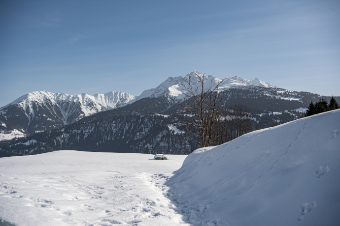 Laax Dorf - Falera (oua_43384037_image)