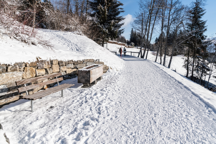 Flims Waldhaus - Sports Center - Staderas - Laax Valley Station (oua_43397526_image)