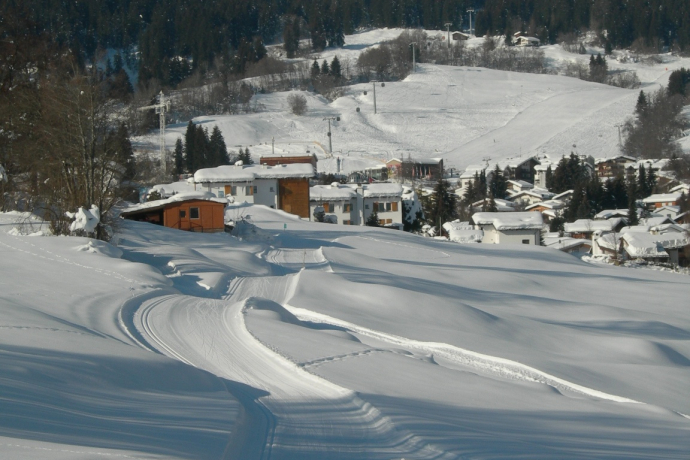 Langlauf Loipen FLims