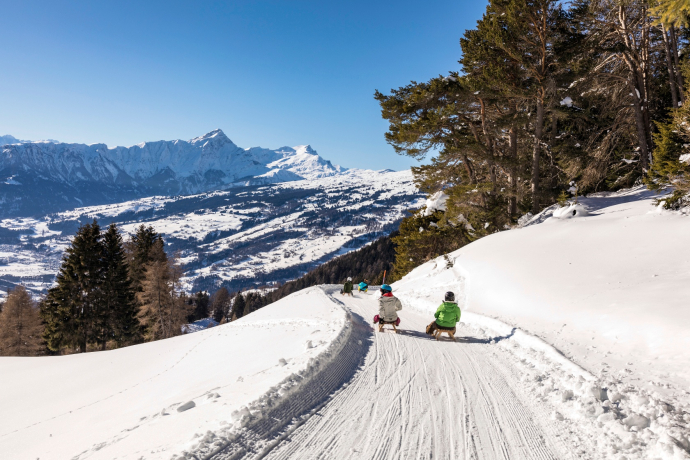 Toboggan run Mutta - North slope - Feldis
