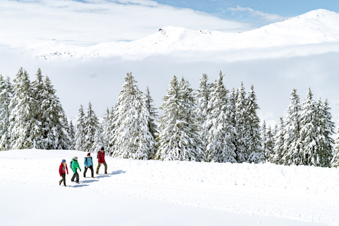 Randonnée hivernale Lenzerheide