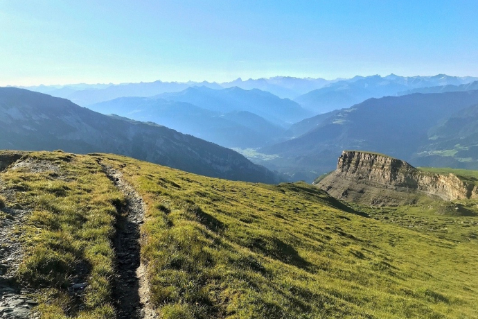 Viva La Cassons (oua_43664936_image)