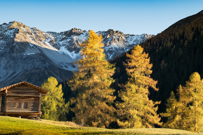 Auf den Spuren der Walserbauten in Davos (oua_43840150_image)