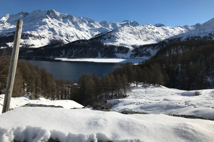 Vue sur le lac de Silser