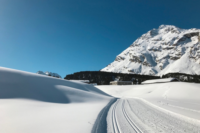 Cross-country ski trail Maloja Cross-country ski trail Maloja