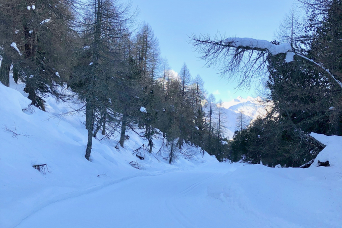 Piste de ski de fond à La Palza, au point le plus élevé du parcours