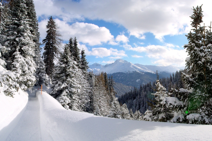 Davos Platz - Schatzalp - Strela Alp (oua_44154107_image)