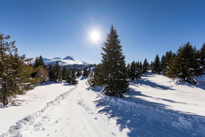Winterwanderweg Muttner Höhe