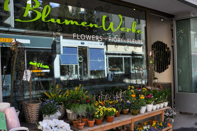 Blumen und Wohnwerke GmbH (oua_45097768_image)