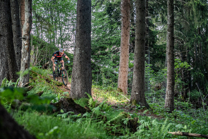 Descent Brigels-Tavanasa