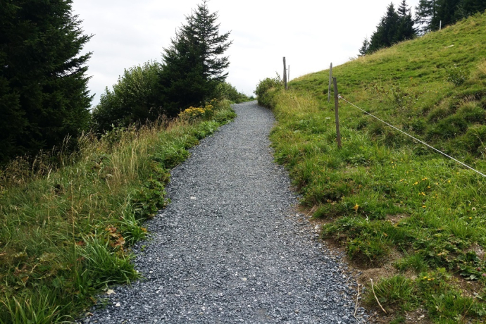 Bergweg auf dem Trail