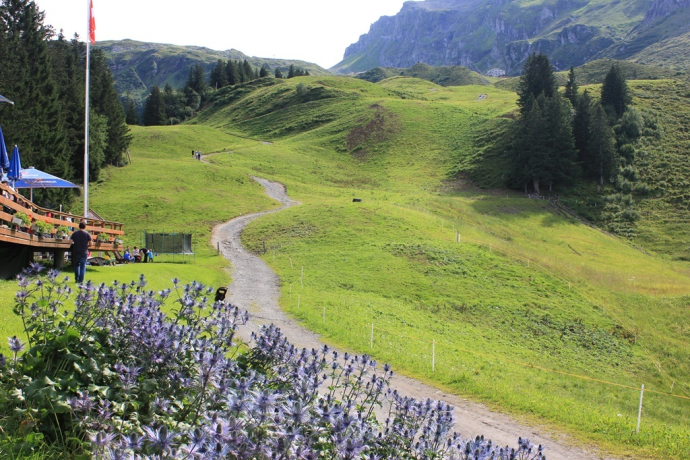 Blick von der Furt bergwärts