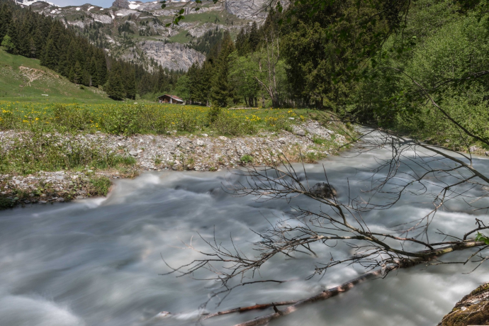 Bachlandschaft Ladral (Kinderwagentauglich) (oua_45691832_image)