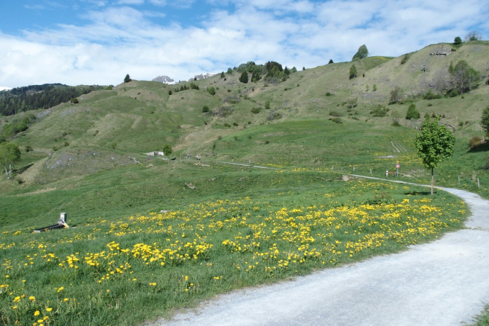 Wanderweg Vella Bual