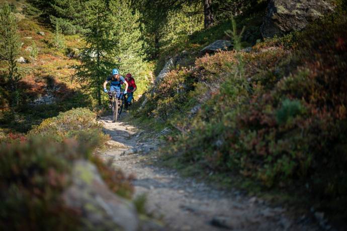 Flüela (oua_46216837_image)