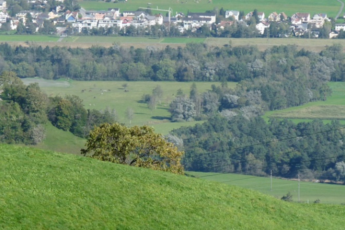 Blick auf die Burgruine Wartau