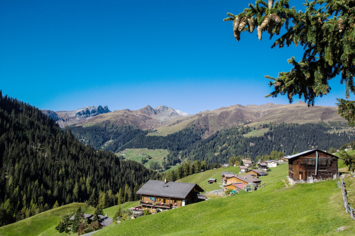 334 Clavadeler Alp (E-MTB tauglich) (oua_47613643_image)