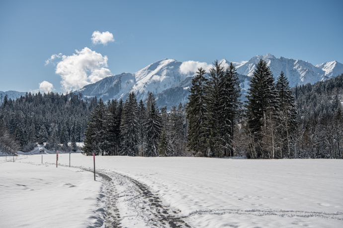 28 Flims village - Crestasee (oua_47951551_image)
