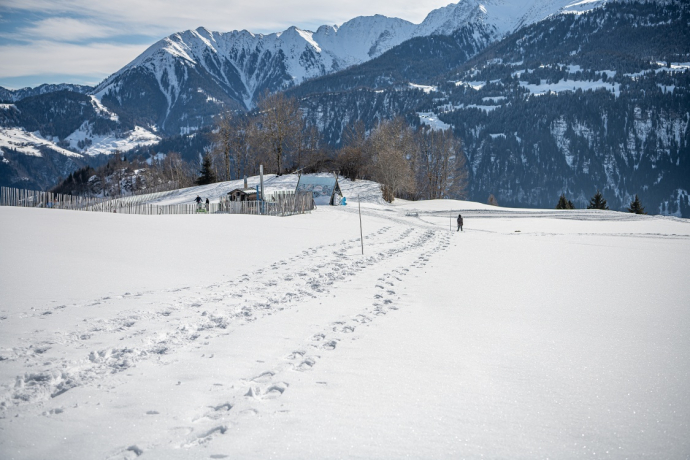 Schneeschuhtour Nr. 501 Curnius - Falera (oua_47960010_image)