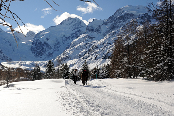 Winter hiking trail Morteratsch