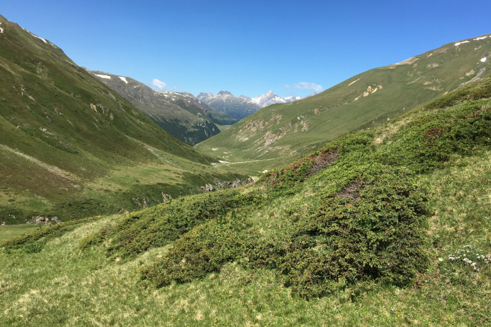 Blick zurück ins Val Chamuera