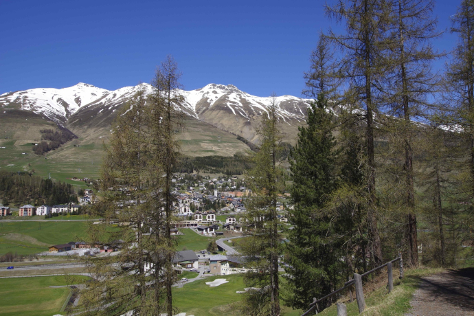Blick auf Zuoz