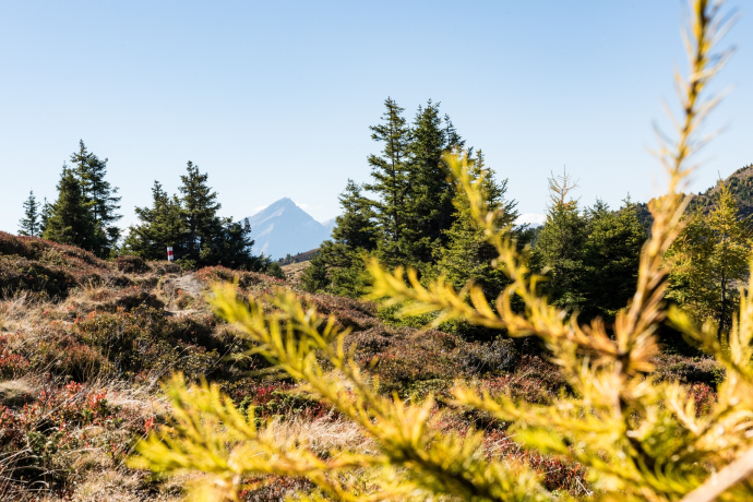 Mutta panoramic circular route