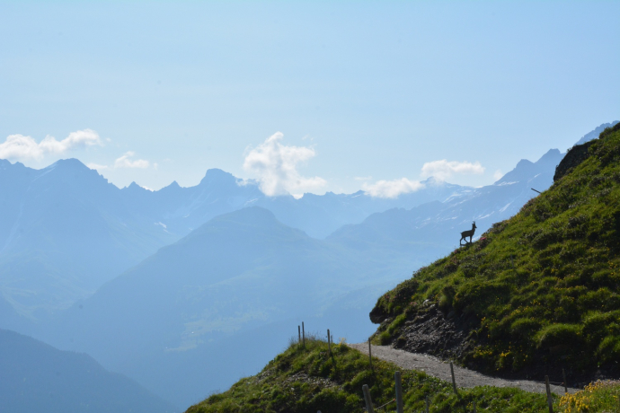 Percorso trailrun Tigignas - Somtgant - Savognin (oua_49466913_image)