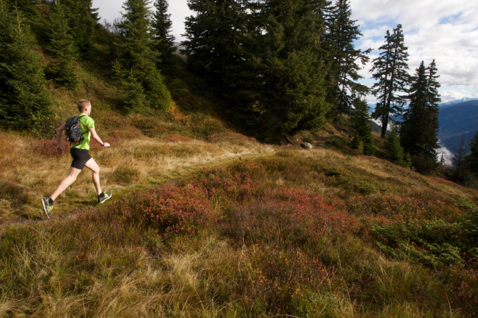 Kloster Disentis - Caischavedra - Bostg (oua_49467113_image)