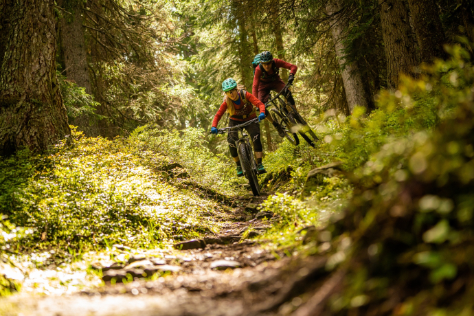 Tritt-Duranna Pass (oua_49791384_image)