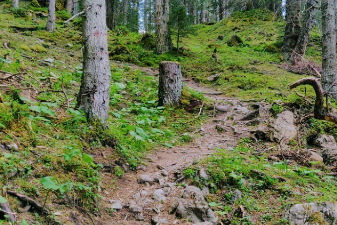 Sentiero Grüenseeli