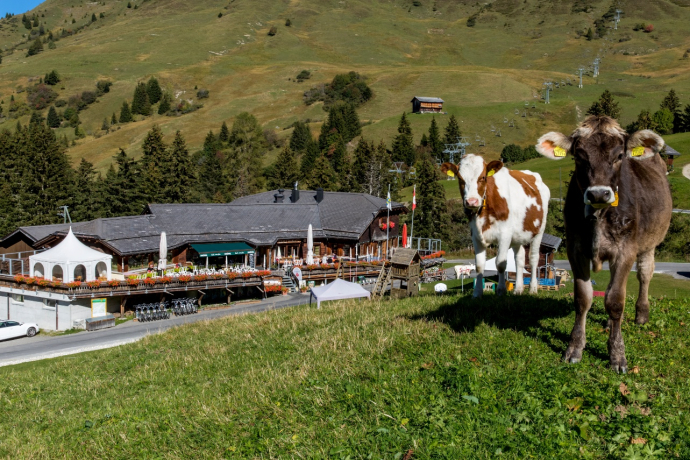 Le vieux restaurant Wali