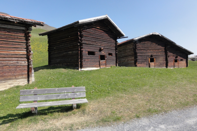Stables near Innerberg in Tenna